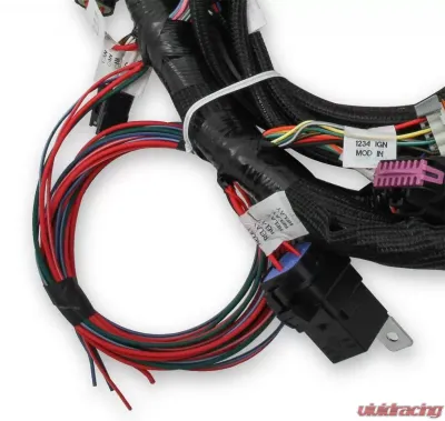 Holley EFI MAIN HARNESS, FORD COYOTE TI-VCT Ford 5.0L V8 - 558-110