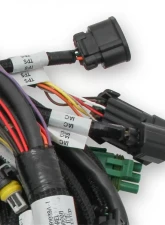 Holley EFI MAIN HARNESS, FORD COYOTE TI-VCT Ford 5.0L V8                                     - 558-110 - Image 3