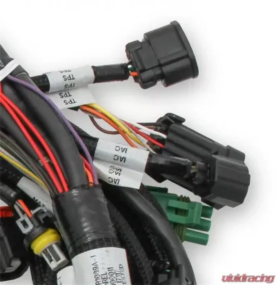 Holley EFI MAIN HARNESS, FORD COYOTE TI-VCT Ford 5.0L V8 - 558-110
