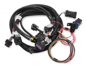 Holley EFI 2X4 TERMINATOR STEALTH MAIN HARNESS