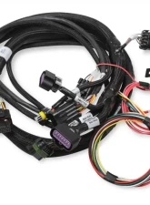 Holley EFI 2X4 TERMINATOR STEALTH MAIN HARNESS                                     - 558-121 - Image 6