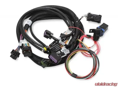 Holley EFI 2X4 TERMINATOR STEALTH MAIN HARNESS - 558-121