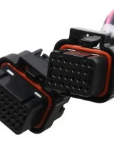 Holley EFI 2X4 TERMINATOR STEALTH MAIN HARNESS                                     - 558-121 - Image 2