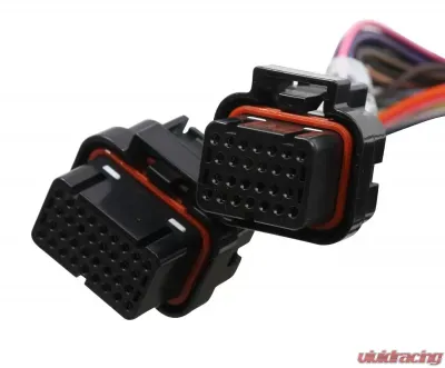 Holley EFI 2X4 TERMINATOR STEALTH MAIN HARNESS - 558-121
