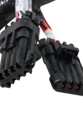 Holley EFI 2X4 TERMINATOR STEALTH MAIN HARNESS                                     - 558-121 - Image 3