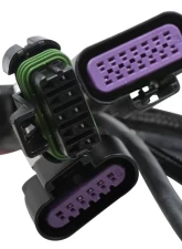 Holley EFI 2X4 TERMINATOR STEALTH MAIN HARNESS                                     - 558-121 - Image 4