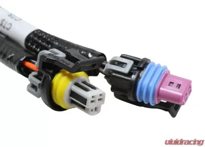Holley EFI 2X4 TERMINATOR STEALTH MAIN HARNESS - 558-121