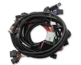 Holley EFI MAIN HARNESS, FORD COYOTE TI-VCT SMART Ford 5.0L V8