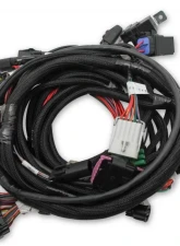 Holley EFI MAIN HARNESS, FORD COYOTE TI-VCT SMART Ford 5.0L V8                                     - 558-122 - Image 3