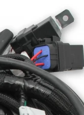 Holley EFI MAIN HARNESS, FORD COYOTE TI-VCT SMART Ford 5.0L V8                                     - 558-122 - Image 3