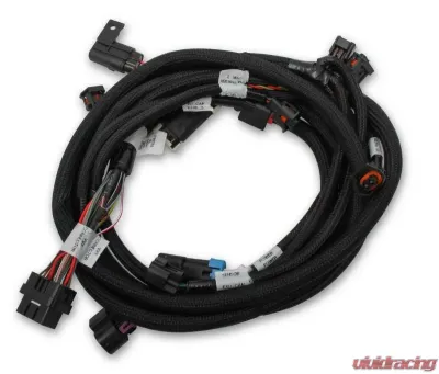 Holley EFI SUB HARNESS, FORD COYOTE TI-VCT Ford 5.0L V8 - 558-125