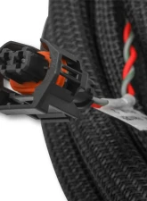 Holley EFI SUB HARNESS, FORD COYOTE TI-VCT Ford 5.0L V8                                     - 558-125 - Image 2