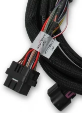 Holley EFI SUB HARNESS, FORD COYOTE TI-VCT Ford 5.0L V8                                     - 558-125 - Image 3