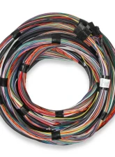 Holley EFI FLYING LEAD MAIN HARNESS                                     - 558-126 - Image 4