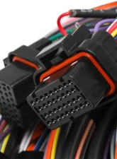 Holley EFI FLYING LEAD MAIN HARNESS                                     - 558-126 - Image 2