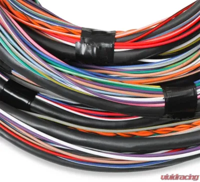 Holley EFI FLYING LEAD MAIN HARNESS - 558-126
