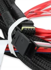 Holley EFI HARNESS, INJECTOR DRIVER MODULE                                     - 558-219 - Image 6