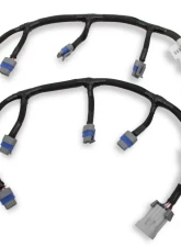 Holley EFI LS COIL SUB HARNESSES                                     - 558-321 - Image 3