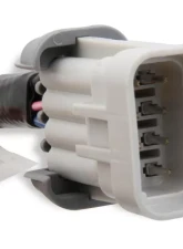 Holley EFI LS COIL SUB HARNESSES                                     - 558-321 - Image 2