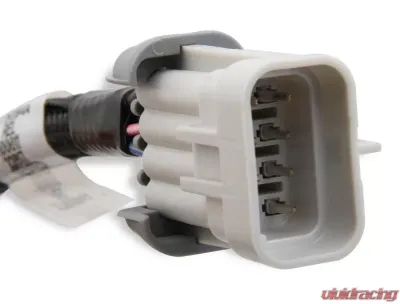 Holley EFI LS COIL SUB HARNESSES - 558-321