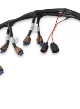 Holley EFI COIL HARNESS, FORD COYOTE (2015.5+) Ford 5.0L V8                                     - 558-322 - Image 5