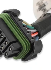 Holley EFI COIL HARNESS, FORD COYOTE (2015.5+) Ford 5.0L V8                                     - 558-322 - Image 2