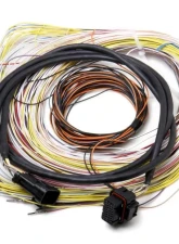 Holley EFI J2A CONNECTOR & HARNESS                                     - 558-401 - Image 2