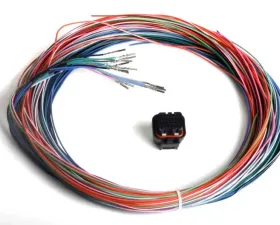 Holley EFI J2B CONNECTOR & HARNESS