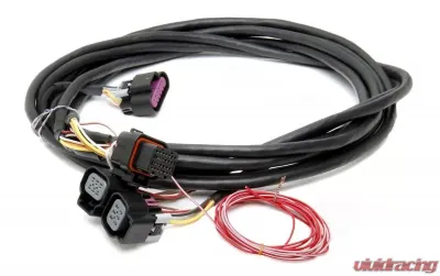 Holley EFI GM DUAL DRIVE BY WIRE HARNESS - 558-411