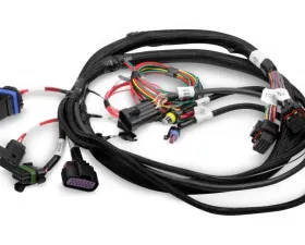 Holley EFI HARNESS, TERMINATOR MAIN