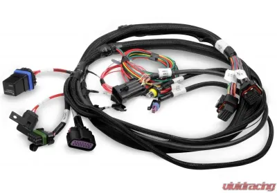 Holley EFI HARNESS, TERMINATOR MAIN - 558-414