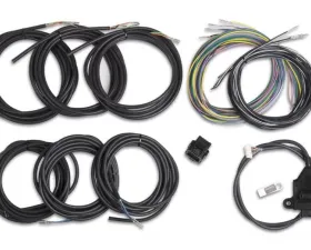 Holley EFI KIT, I/O ADAPTER WITH UNTERMINATED VEHICLE HARNESS