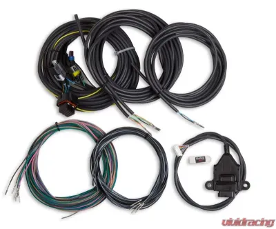 Holley EFI KIT, I/O ADAPTER WITH TERMINATED VEHICLE HARNESS - 558-434