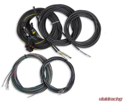 Holley EFI TERMINATED VEHICLE HARNESS, DIGITAL DASH - 558-436