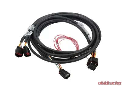 Holley EFI HEMI DUAL DBW HARNESS, 2013+ APPLICATIONS - 558-450