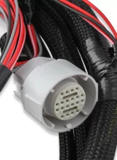 Holley EFI GM 4L60 (2009 Plus) TRANS HARNESS                                     - 558-455 - Image 2
