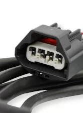 Holley EFI DBW HARNESS, FORD 3V AND GT500                                     - 558-461 - Image 3