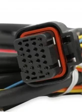 Holley EFI DBW HARNESS, FORD 3V AND GT500                                     - 558-461 - Image 4