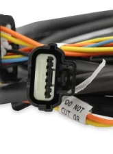 Holley EFI DBW HARNESS, FORD 3V AND GT500                                     - 558-461 - Image 5