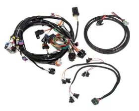 Holley EFI HARNESS KIT, LS1/6, 24X, BOSCH/JETRONIC INJECTOR