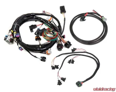 Holley EFI HARNESS KIT, LS1/6, 24X, BOSCH/JETRONIC INJECTOR - 558-500
