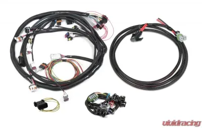 Holley EFI HARNESS KIT, UNIVERSAL FORD V8 - 558-508