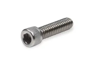 Holley EFI SHC SCREW 1/4-20 X 1 SS