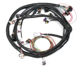 Holley EFI LS2 MAIN HARNESS