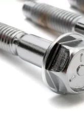 Trans-Dapt Performance INTAKE MANIFOLD BOLTS; 5/16 in.-18 X 1-3/4 in. Hex Head (8 bolts)-CHROME                                     - 7565 - Image 2