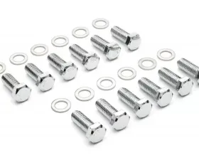 Trans-Dapt Performance INTAKE MANIFOLD BOLTS; 3/8 in.-16 X 1 in. Hex Head (12 bolts)-CHROME