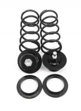 UMI Performance 1982-2002 GM F-Body Rear Weight Jack System, 200lb, Race Front                                     - 2075-3-B - Image 4