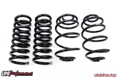 UMI Performance 1967-1972 GM A-Body Spring Kit, Factory Height - 4049