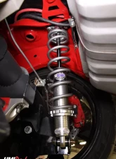 UMI Performance 1964-1972 GM A-Body Rear Coilover Kit, Control Arm Relocation, Bolt In                                     - 4057-125 - Image 2