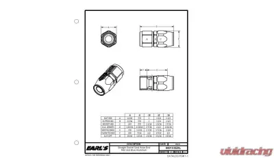 Earl's Performance -10 ST. SWIVEL-SEAL - 800110ERL